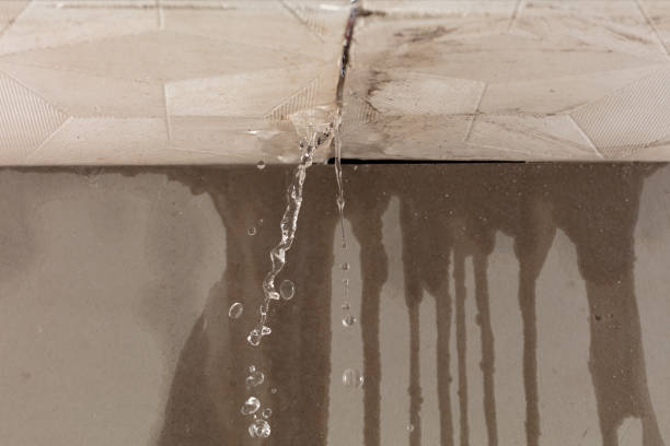 Professional Water Damage Inspection technician working in Fairgrove, MI